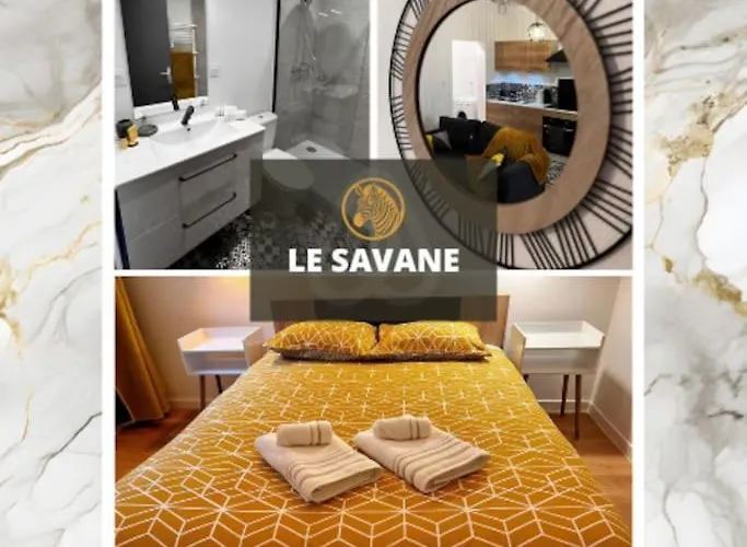 Savane - Appart. équipé Rénové, Avec Terrasse Appartement Vichy
