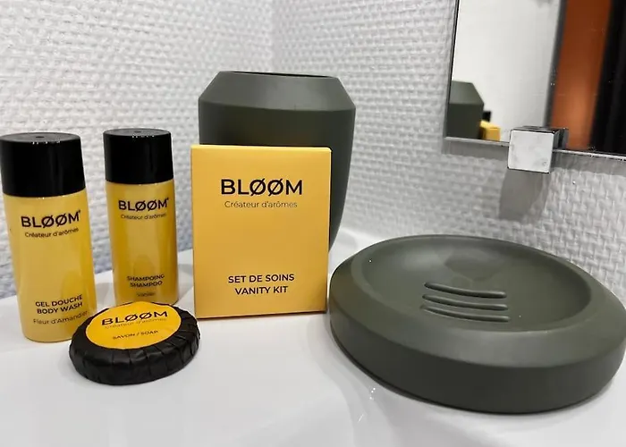 Appartement Savane - Appart. équipé Rénové, Avec Terrasse Vichy