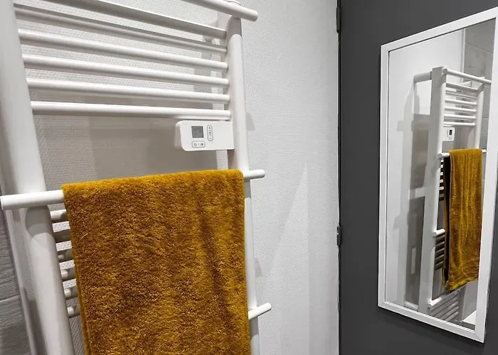 Savane - Appart. équipé Rénové, Avec Terrasse Appartement Vichy